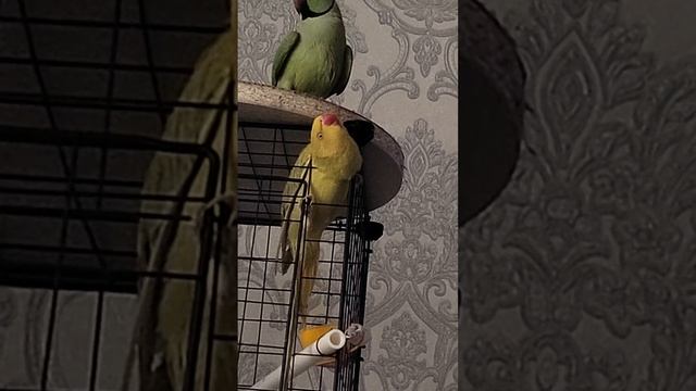 18 декабря 2023 г. смотреть онлайн