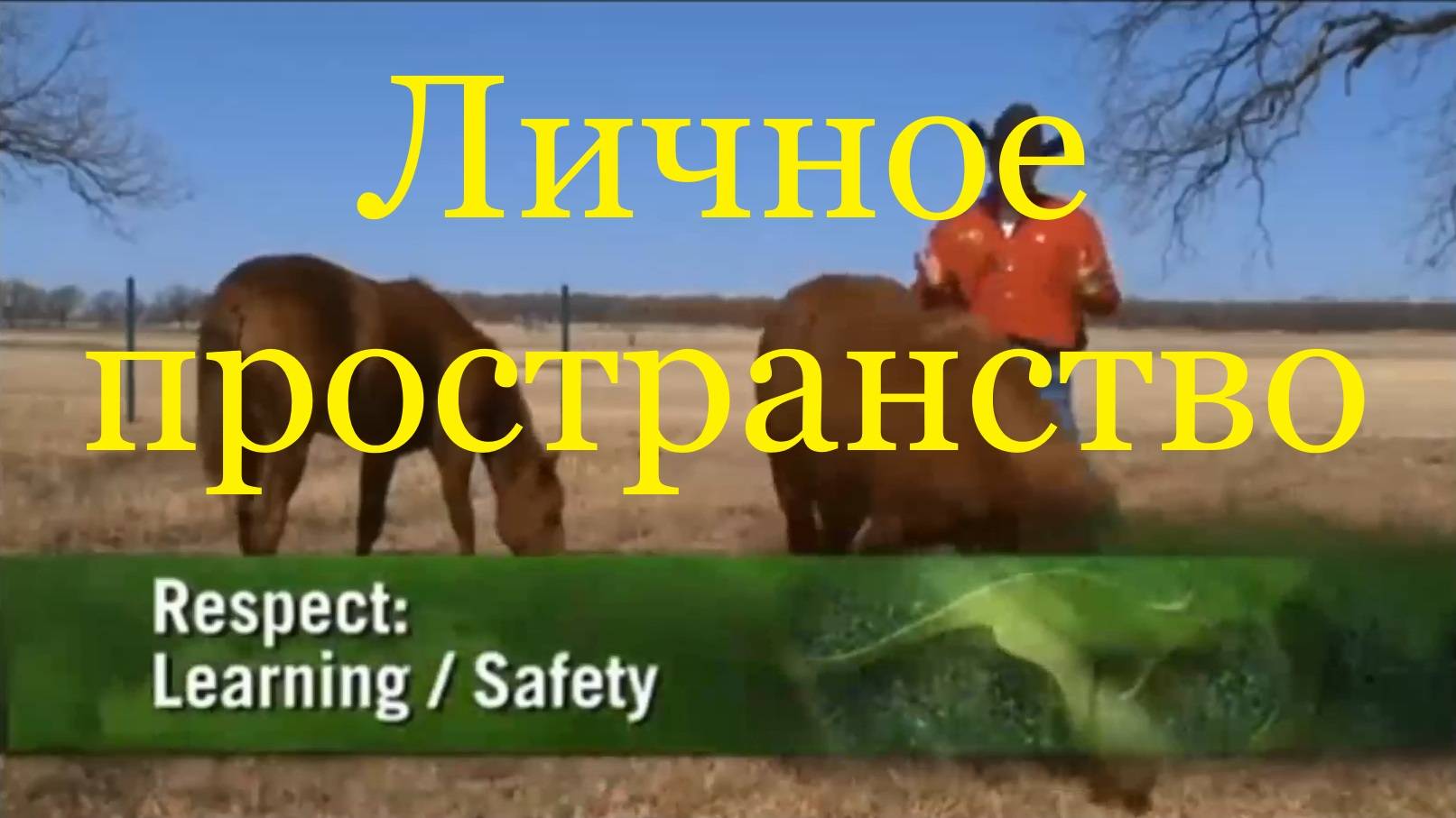 Личное пространство (Клинтон Андерсон).