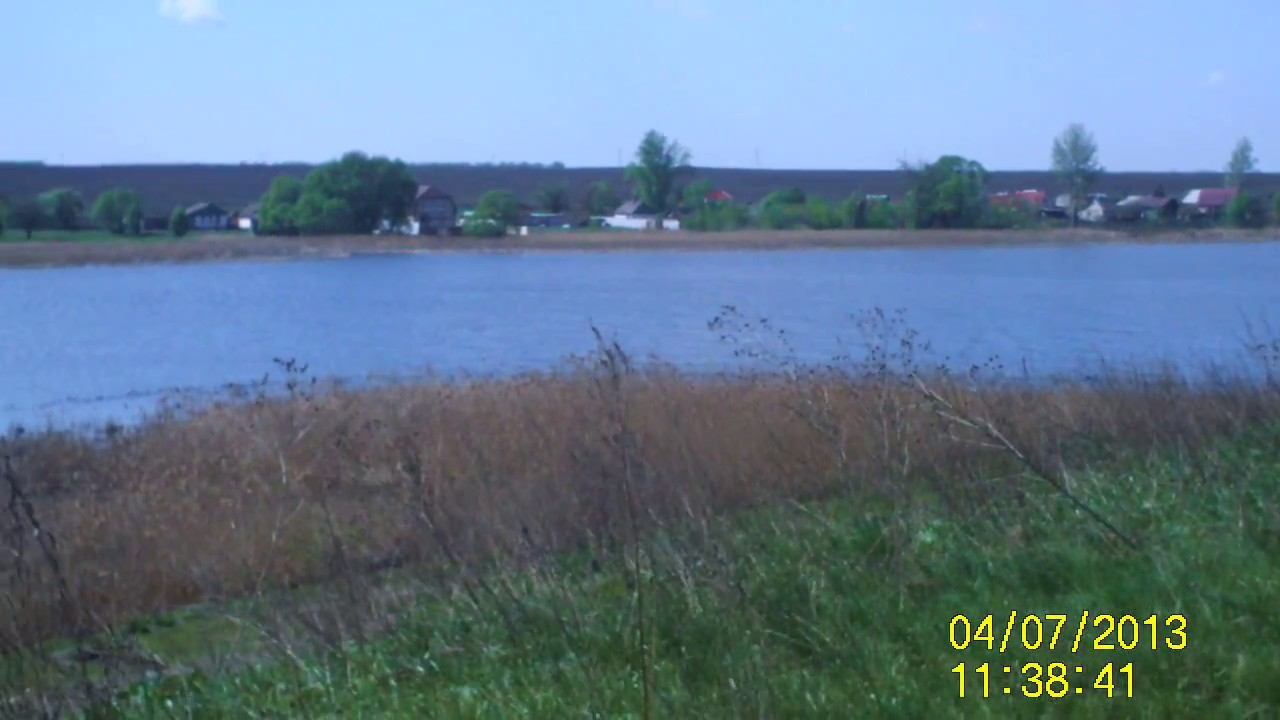 Год- ЭКОЛОГИИ-Это обращение Бобкова к губернатору было 3 года на зад. смотреть онлайн