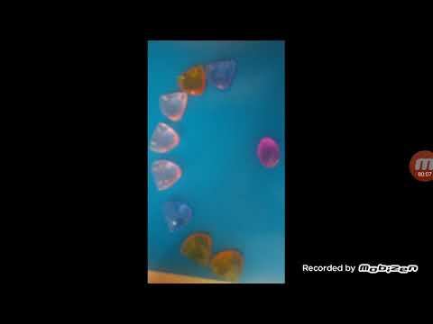 История про рыбок смотреть онлайн