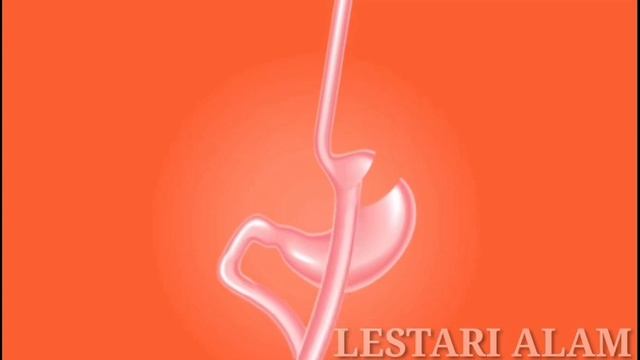 Obat Asam Lambung Naik смотреть онлайн