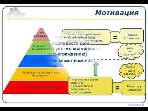 Управление Персоналом Развитие человечского потенциала бизнес модуль смотреть онлайн