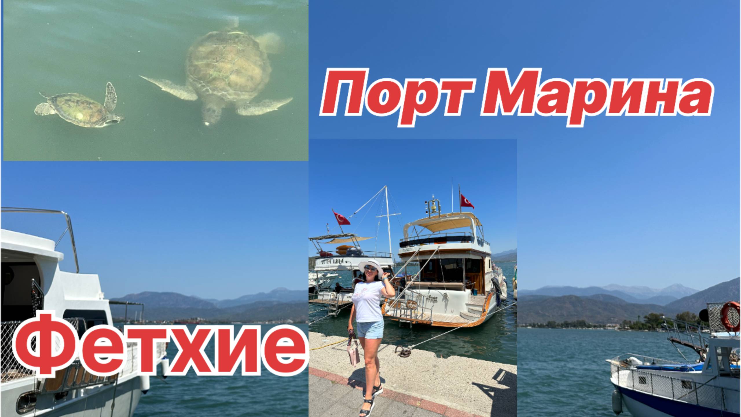 Огромные Черепахи в Порту Марина Фетхие #фетхие #турция #порт