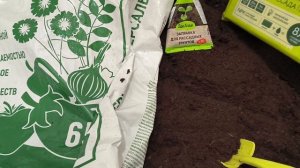 Какой грунт использую для пикировки рассады овощей и петунии