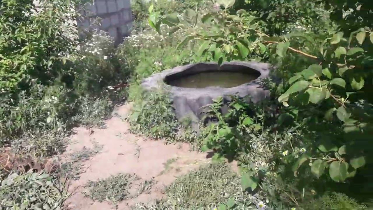 Энергия солнца заряд