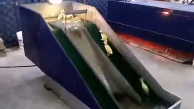 Горка для утят смотреть онлайн