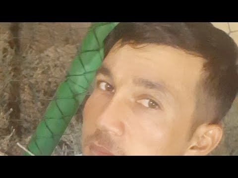 Футболка Парки Н.Шахритуз 2022 смотреть онлайн