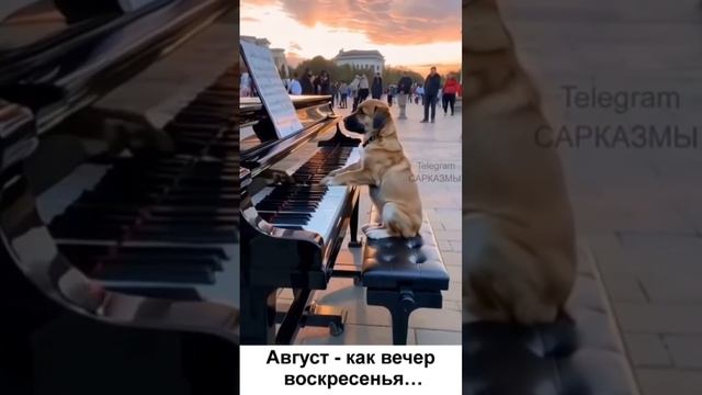 Прекрасного настроения ⚓️-⚓️#shorts смотреть онлайн