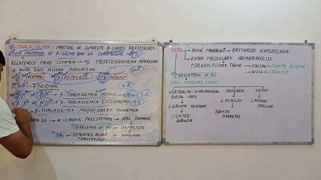 Beta thalassemia | Thalassemia | clinical features of Thalassemia | NEET PG | USMLE смотреть онлайн