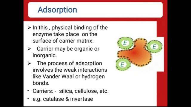 Enzyme immobilization смотреть онлайн