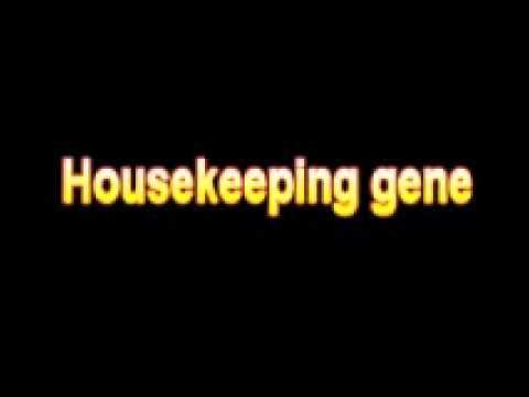 What Is The Definition Of Housekeeping gene - Medical Dictionary Free Online Terms смотреть онлайн