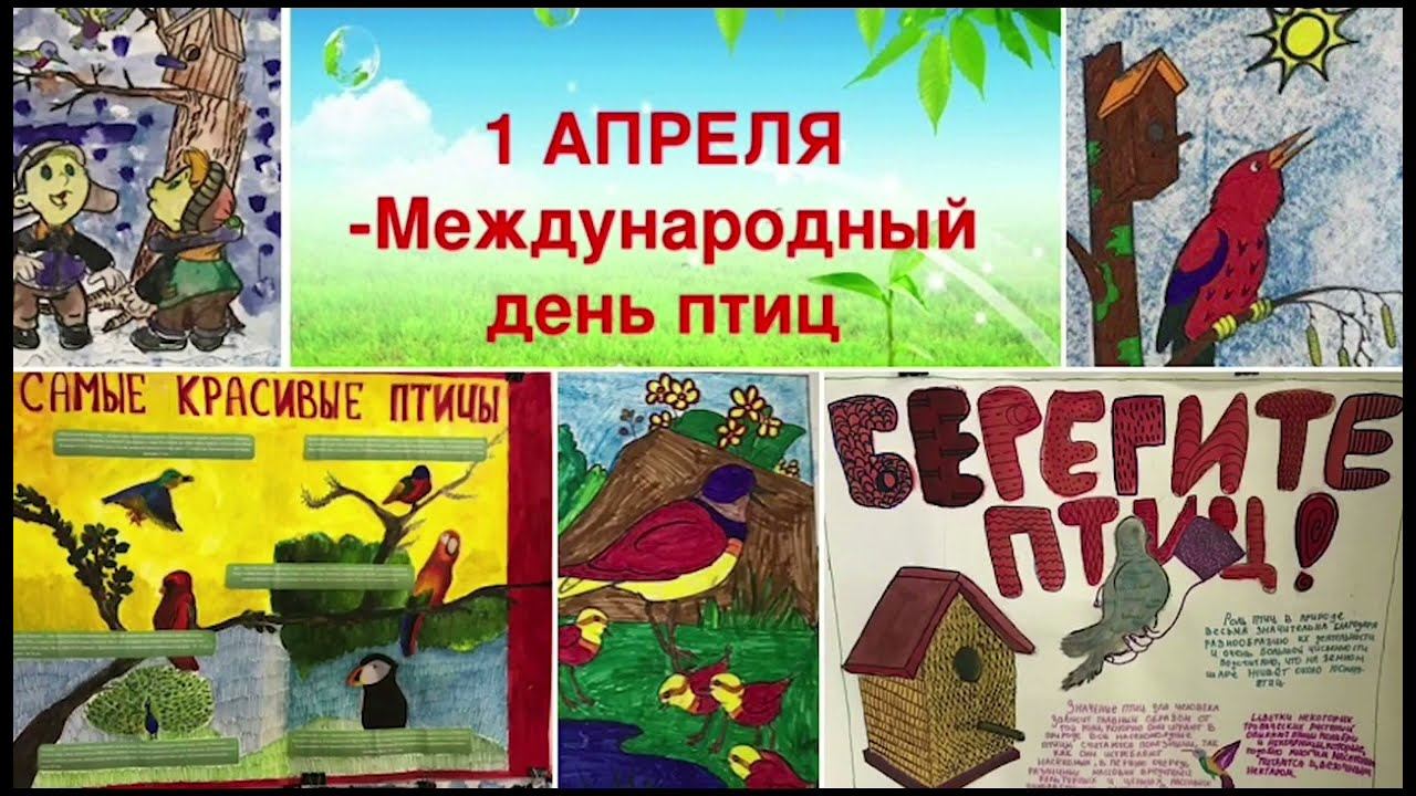 Видеопрезентация "Берегите птиц, берегите природу!" (Андреевская СБ) смотреть онлайн