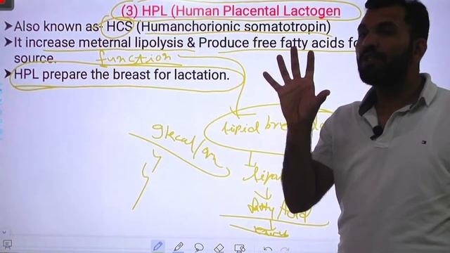 NORCET AIIMS OBG Class-15 Hormonal Function of Placenta || Nursing Officer || NEET PG || Biology смотреть онлайн