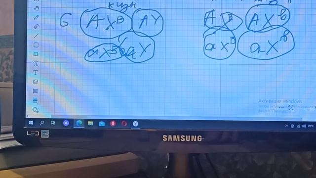 Задача на летальные гены| Генетика смотреть онлайн