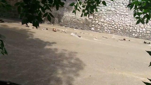 Причина и последствия потопа в Гурзуфе смотреть онлайн