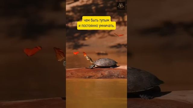 Иногда тупить позволительно