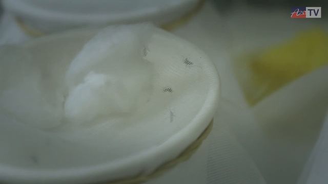 Dr Jo Lines - Malaria Control смотреть онлайн