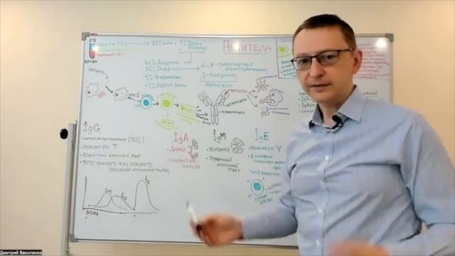 Антитела (Дмитрий Василенко, терапевт, ДокМед, СберЗдоровье) смотреть онлайн