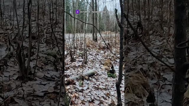 Опасная находка! ⚠️ смотреть онлайн