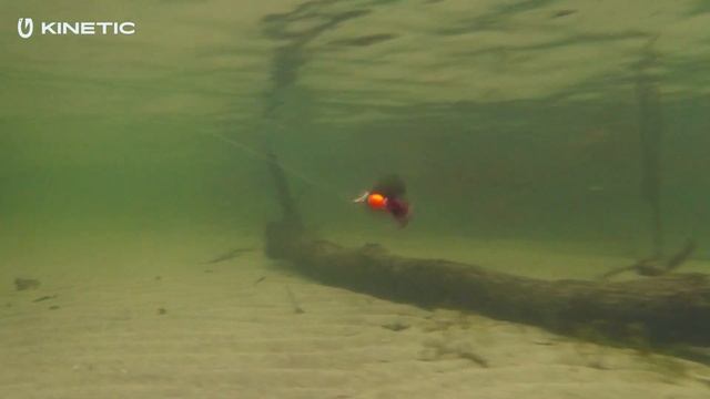 Kinetic Fizz смотреть онлайн