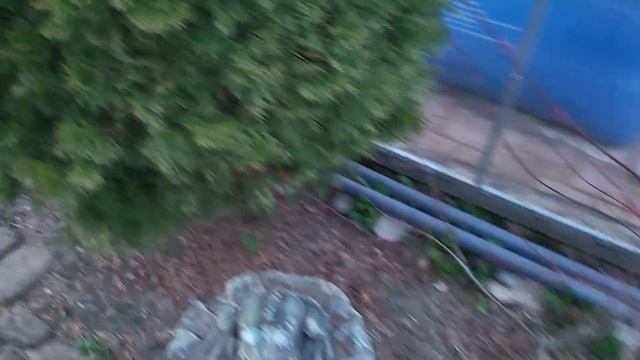 Чистая вода через две недели после запуска системы фильтрации смотреть онлайн