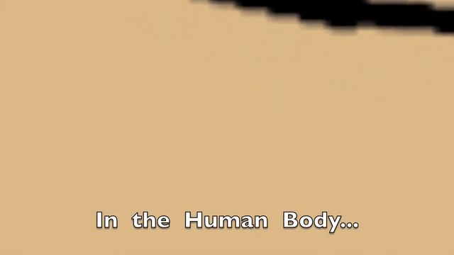 Nature Proves the Trinity смотреть онлайн