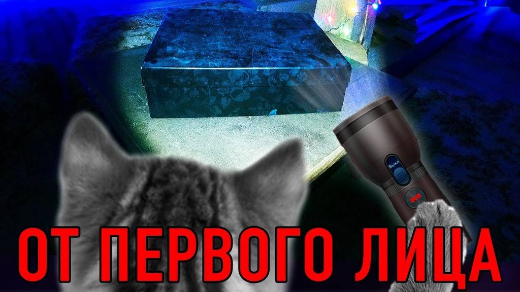 КОРОЧЕ ГОВОРЯ, МЕНЯ УКРАЛИ! ОТ ПЕРВОГО ЛИЦА ГЛАЗАМИ КОШКИ КИСЫ АЛИСЫ смотреть онлайн