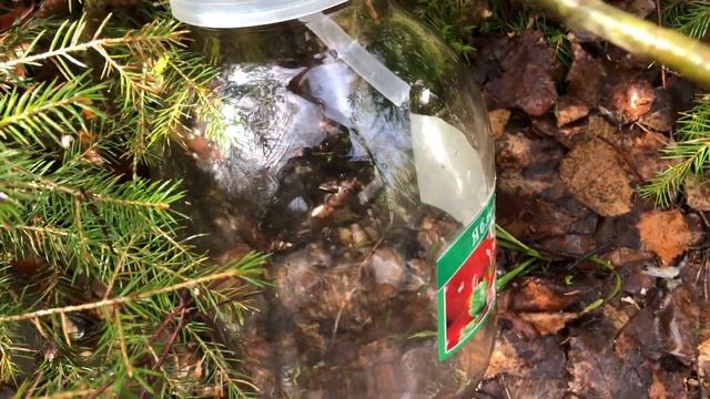 Учебный рай