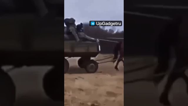 Братья не воюйте как на этом видео смотреть онлайн
