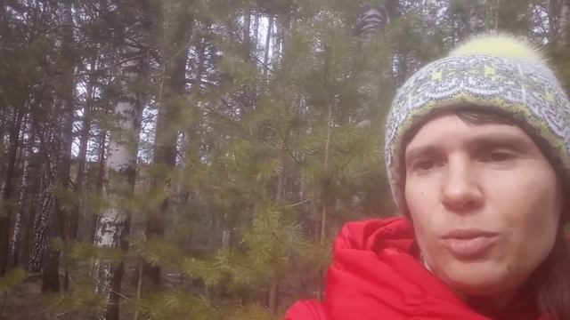 К Дню Земли 22 апреля 2024 г. смотреть онлайн