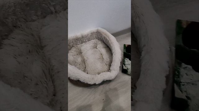 Распаковка подарков для Миры 🥰🥰🥰💖💖💖 смотреть онлайн