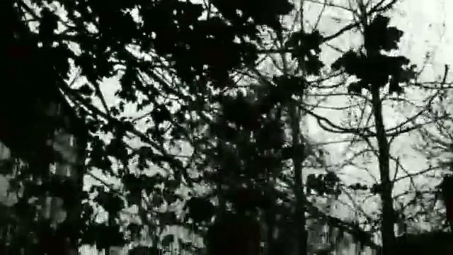 Мои ласточки... смотреть онлайн