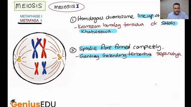 BIOLOGY SPM - MEIOSIS CELL DIVISION - FORM 4 смотреть онлайн