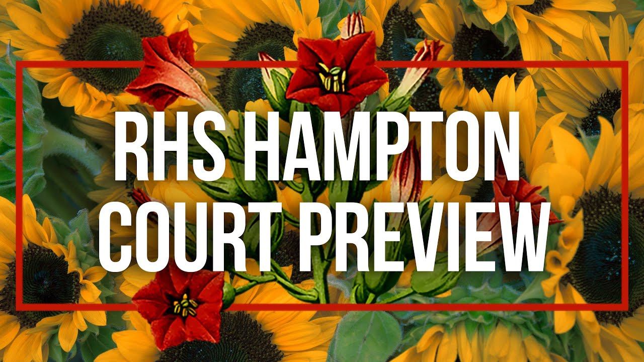 The Plant Based Podcast: RHS Hampton Court Preview смотреть онлайн