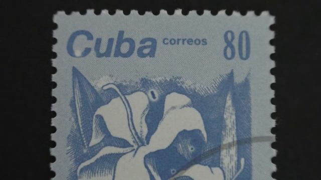 Postage stamp. Cuba Correos. Flowers. Mariposa. 1983. Price 80 centavos. смотреть онлайн