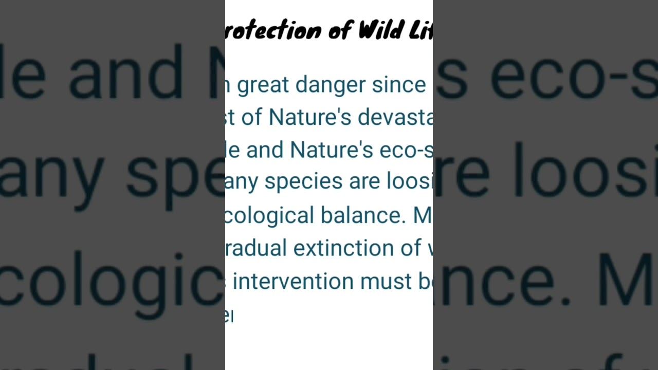 Write a paragraph on Protection of Wild Life|paragraph on importance of wild life conservation смотреть онлайн