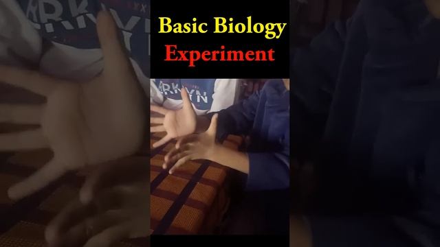Basic Biology Experiment смотреть онлайн