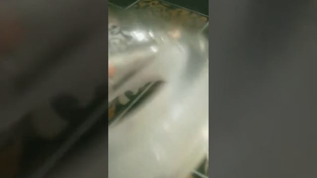 sorry maine Ham pack nahin kiya nanotech ko смотреть онлайн