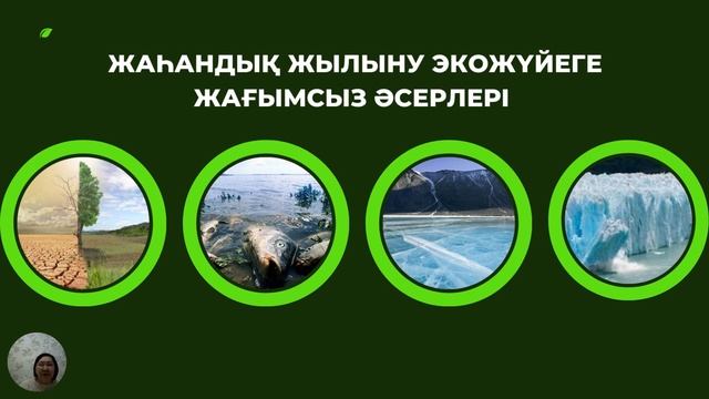 «Галамдык жылыну себептери» / Бейсекенова Ж.С. смотреть онлайн