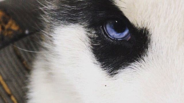 Kyler Belden - Son Of Ace смотреть онлайн