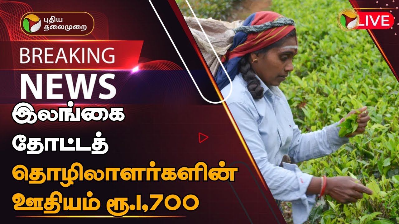 🔴BREAKING: இலங்கை தோட்டத் தொழிலாளர்களின் ஊதியம் ரூ.1,700 | wage of Sri Lankan plantation workers|PT смотреть онлайн