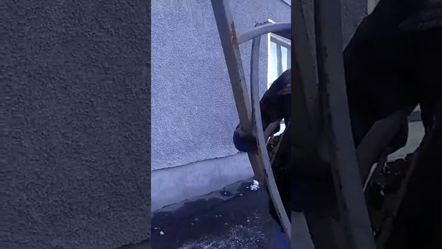 Алкаш ! смотреть онлайн