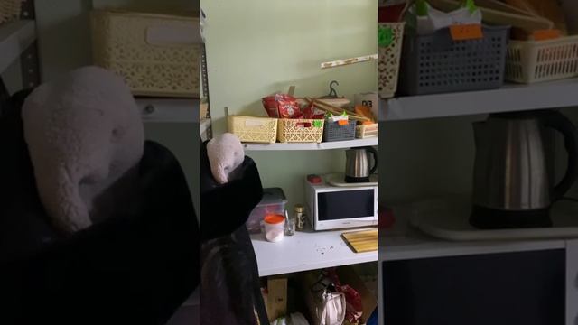 3967127 смотреть онлайн