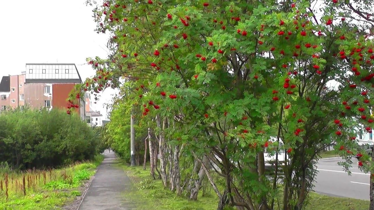 Город сладких грёз смотреть онлайн