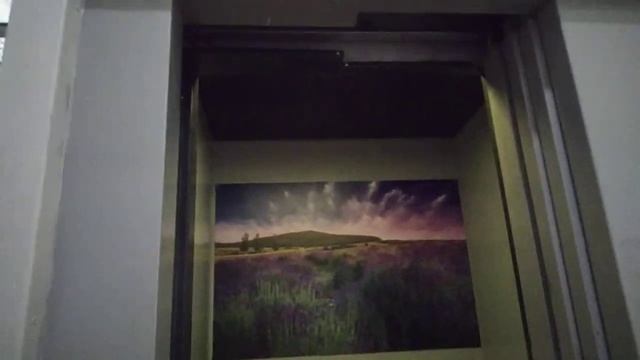 Лифт OTIS Europa 2000 @ Ул. Большая Филёвская, 21/19 кор. 3 смотреть онлайн