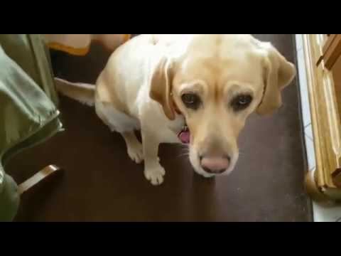 Zabawa w chowanego смотреть онлайн