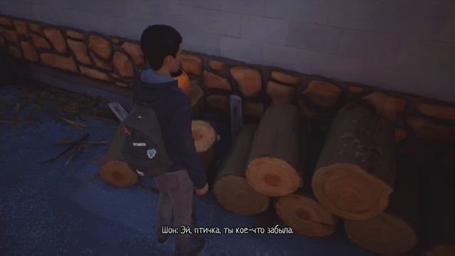 life is strange 2 #5 медвежья заправка.mp4