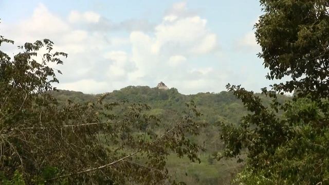 Pyramid Xunantunich, Belize. Шунантунич, Белиз (1721sp) смотреть онлайн