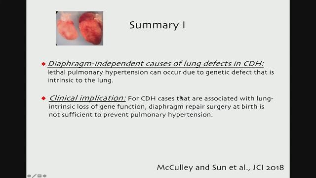Stanford Pediatric Pulmonology Symposium – Building a Functional Lung: Lessons from Genetic Models смотреть онлайн