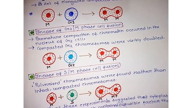 CSIR NET IMPORTANT PART | CELL FUSION EXPERIMENT смотреть онлайн